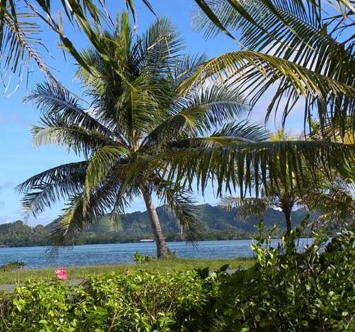 Kosrae Micronesia aggiornamento automatico del codice promozionale booking.com